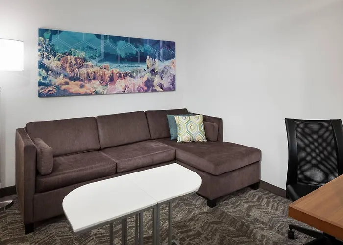 Springhill Suites By Marriott Orlando At Seaworld